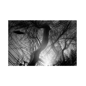 Sojourn
