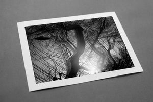 Sojourn