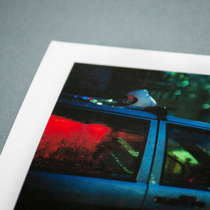 Dusk Bokeh - Signed Edition