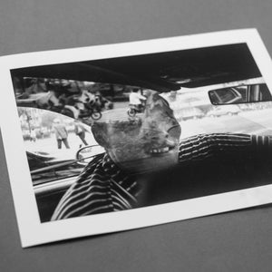 The Driver- Signed Edition