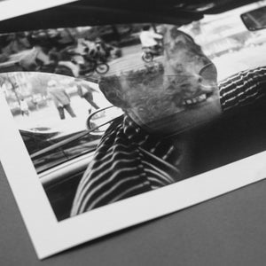 The Driver- Signed Edition