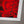 Wan 2009 - Signed Edition