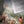 The Garden of Love & The Pilgrimage to Cythera