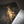 The Descent from the Cross - Rubens & Rembrandt