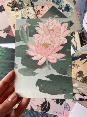 Postcard