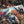 The Tiger Hunt & Tiger and Snake